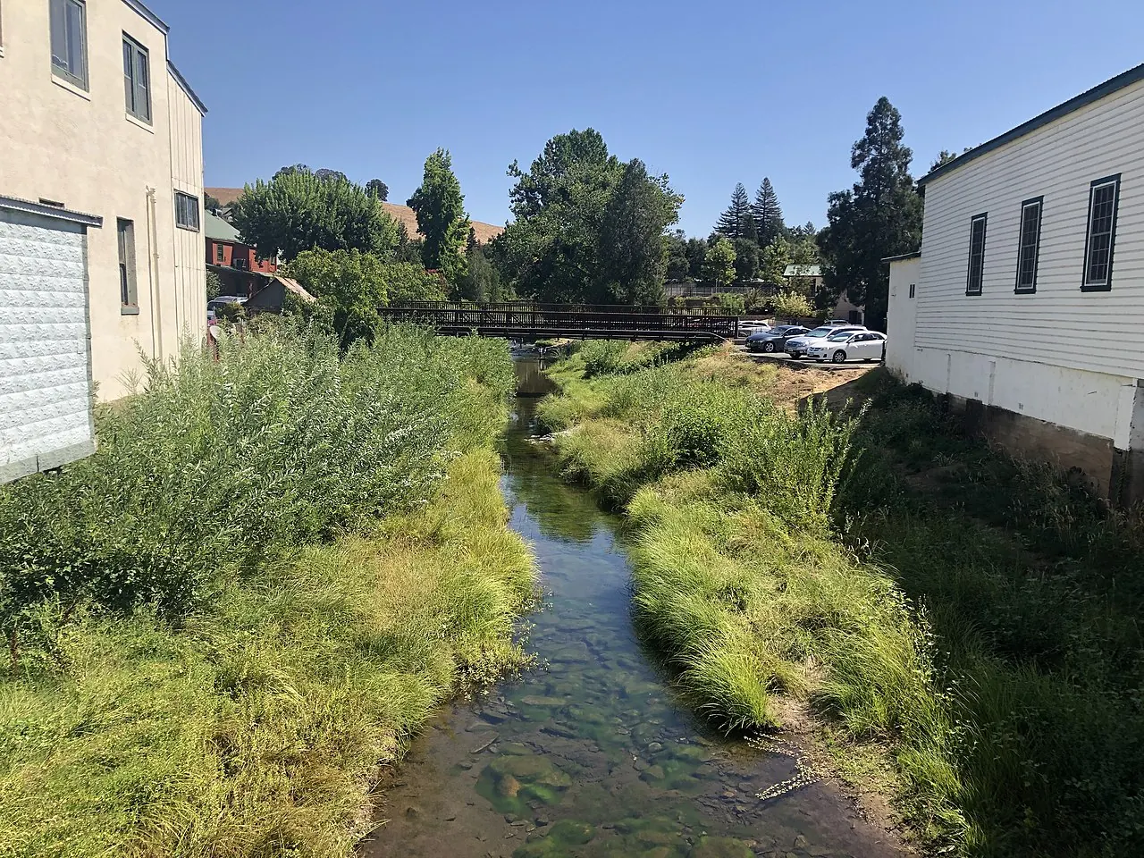 Sutter Creek – Sutter Creek, California: Sutter Creek - Stierch