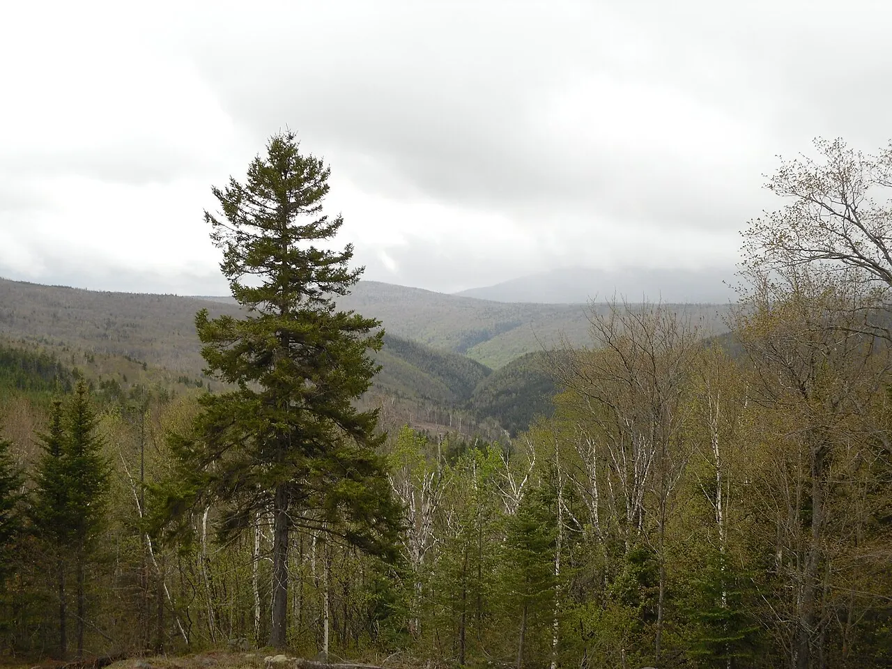 Rangeley – Rangeley, Maine: Height of Land in Rangeley, Maine