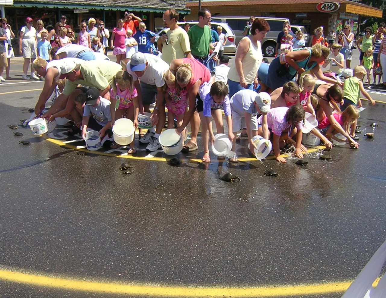 Nisswa – Nisswa, Minnesota: Kids turtle race, Nisswa MN
