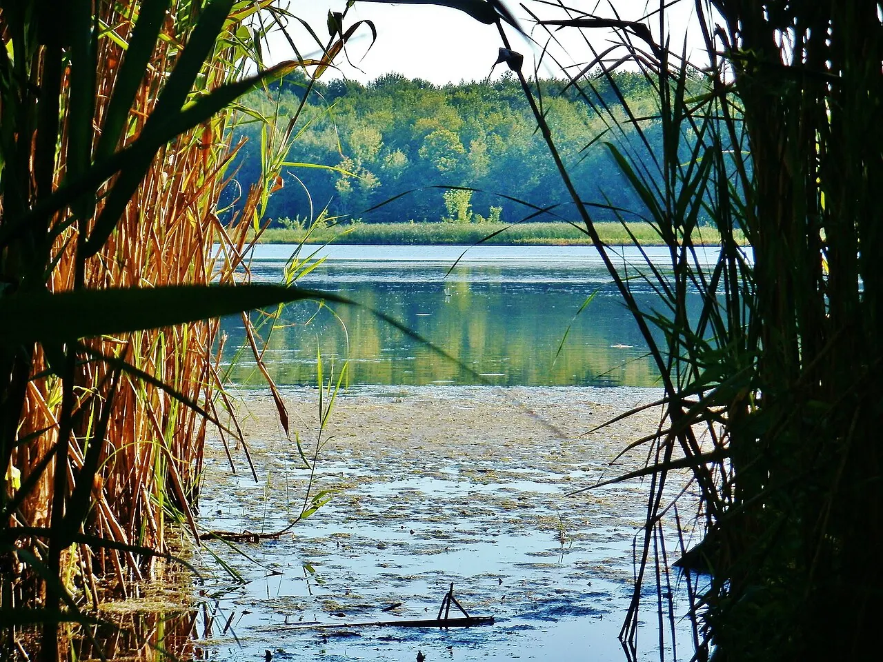 Mendon – Mendon, New York: Mendon Ponds Park, Mendon, NY photo by Carolyn Emerick