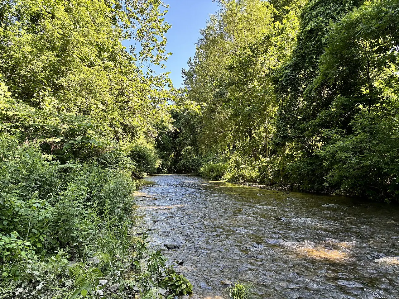 Finger Lakes, Naples – Naples, New York: Naples Creek, Naples NY