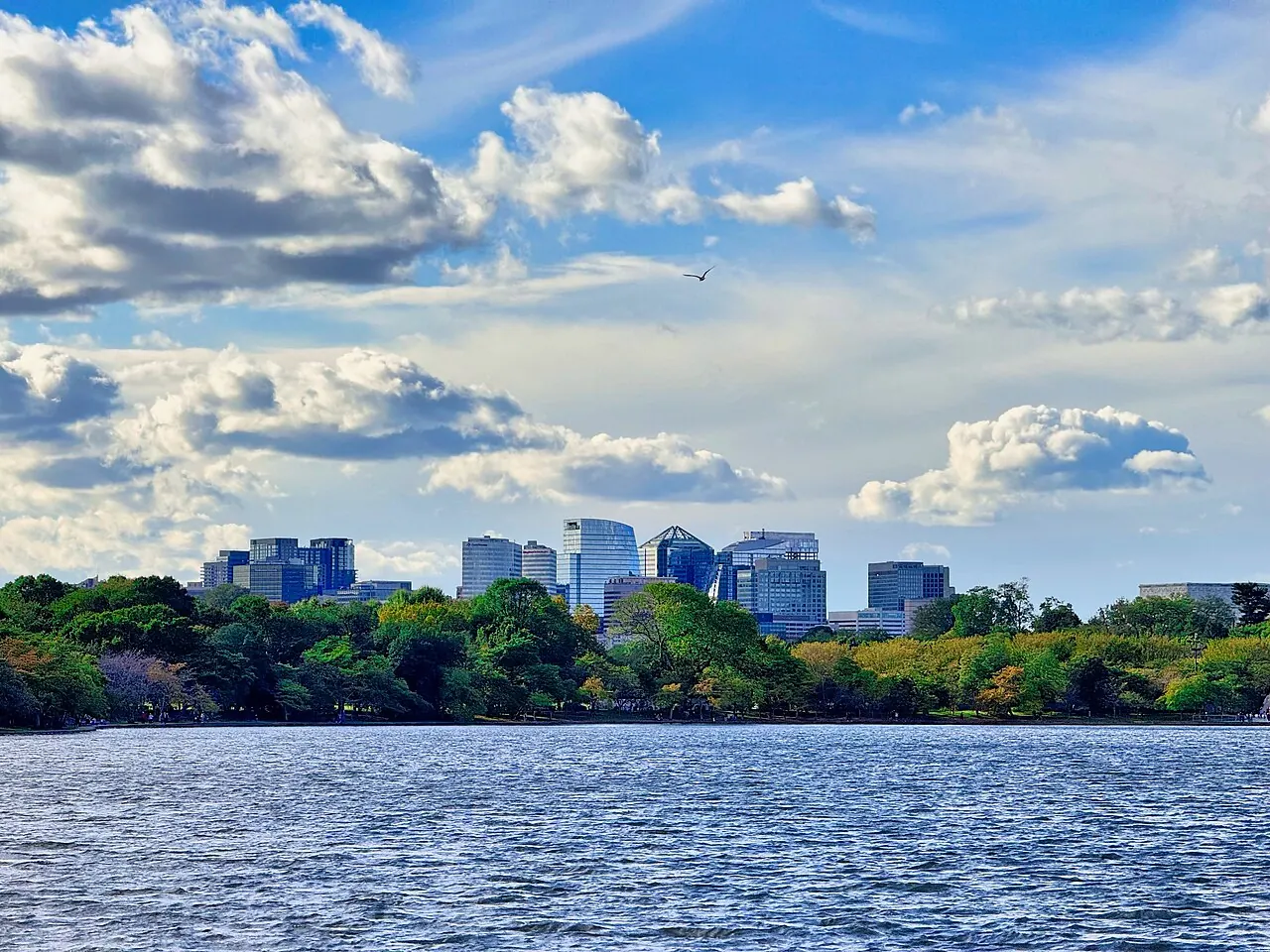 Arlington – Arlington, Virginia: The Arlington, Virginia, city skyline
